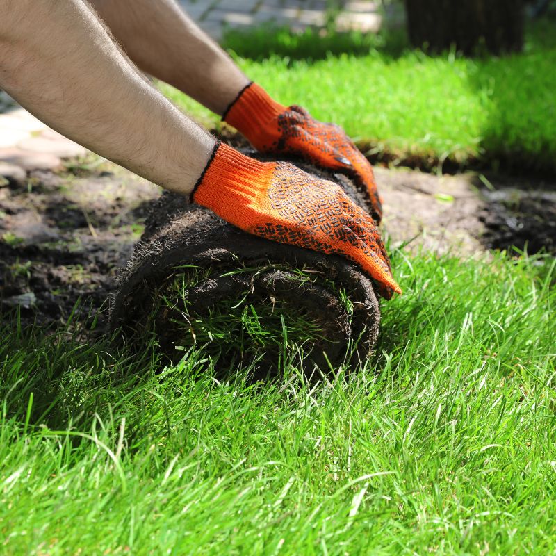 Install sod in Semmes AL