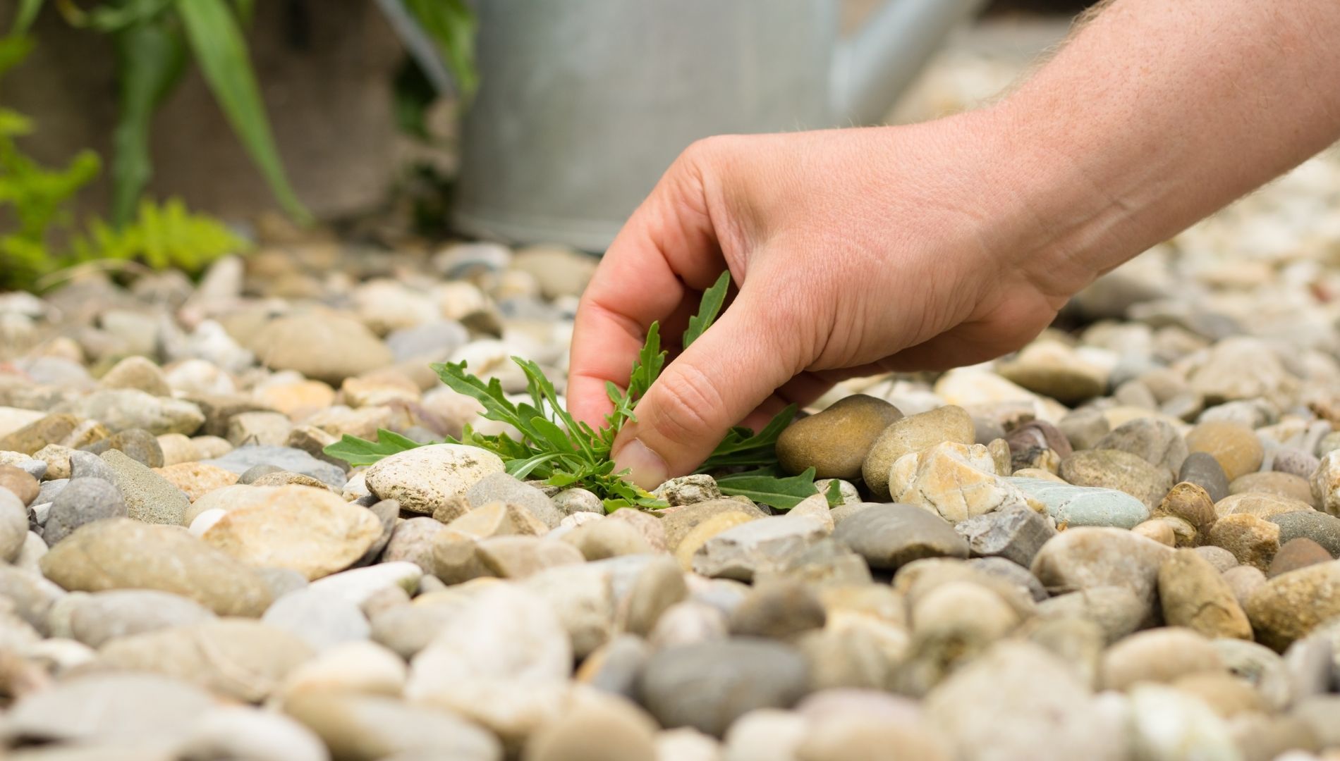 Landscape garden bed maintenance