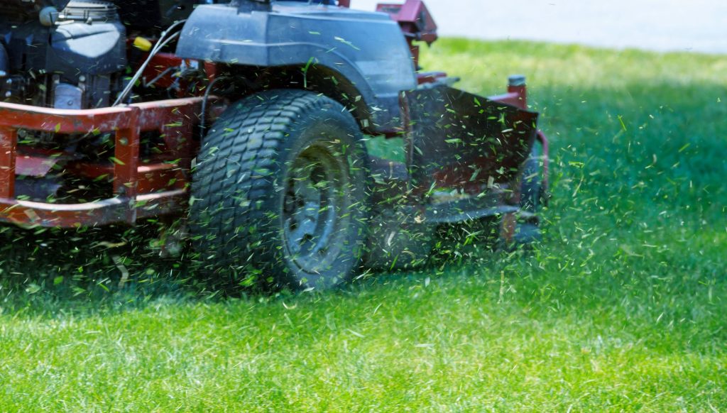 Lawn Maintenance