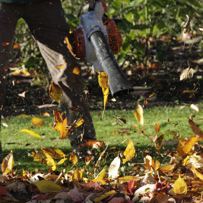 Leaf blowing in West Mobile AL