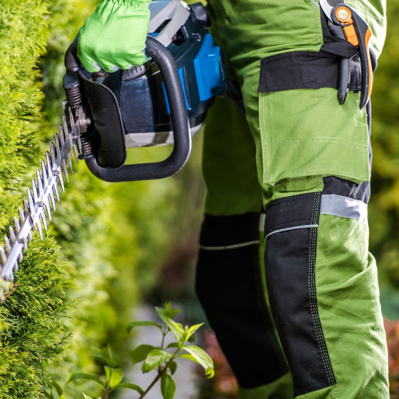 Shrub and Hedge Trimming in Semmes Alabama